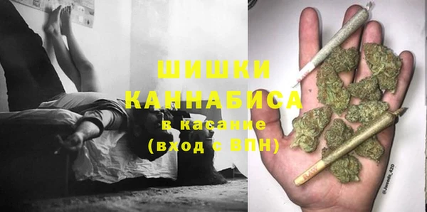 apvp Горняк