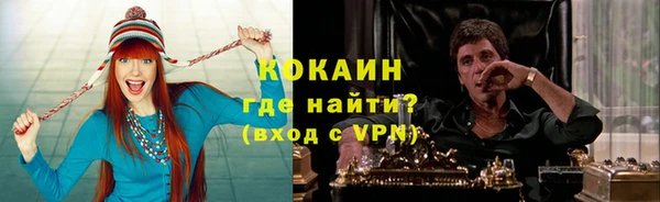 твердый Гусь-Хрустальный