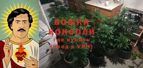 твердый Гусь-Хрустальный