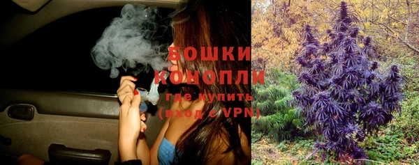 ПСИЛОЦИБИНОВЫЕ ГРИБЫ Горно-Алтайск