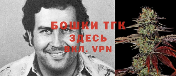 твердый Гусь-Хрустальный