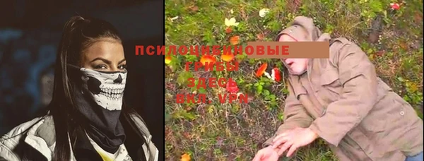твердый Гусь-Хрустальный
