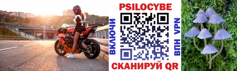 Галлюциногенные грибы GOLDEN TEACHER  Вичуга 