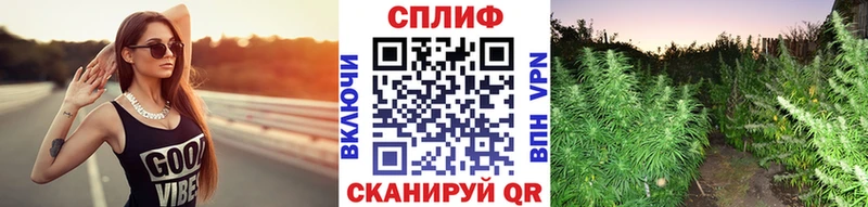Шишки марихуана Amnesia  Вичуга 